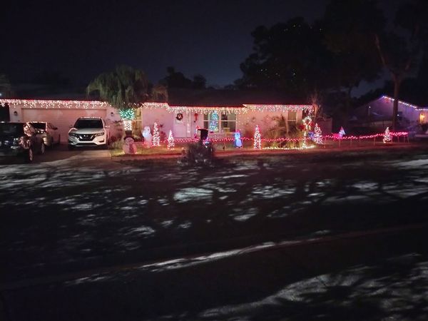 1021 Rosetree lane Tarpon Springs, Florida, 34689