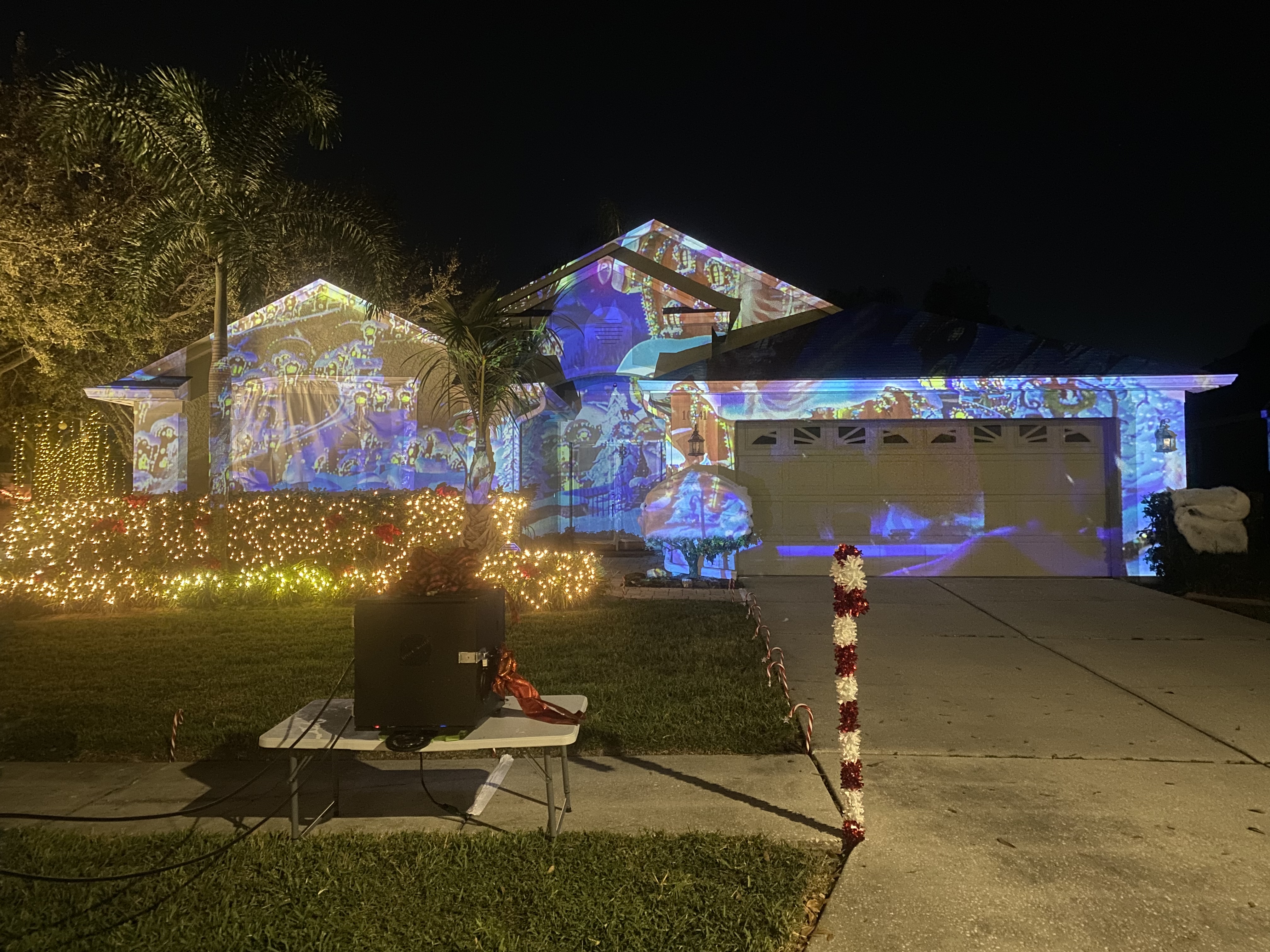10431 Lightner Bridge Dr Tampa, Florida, 33626